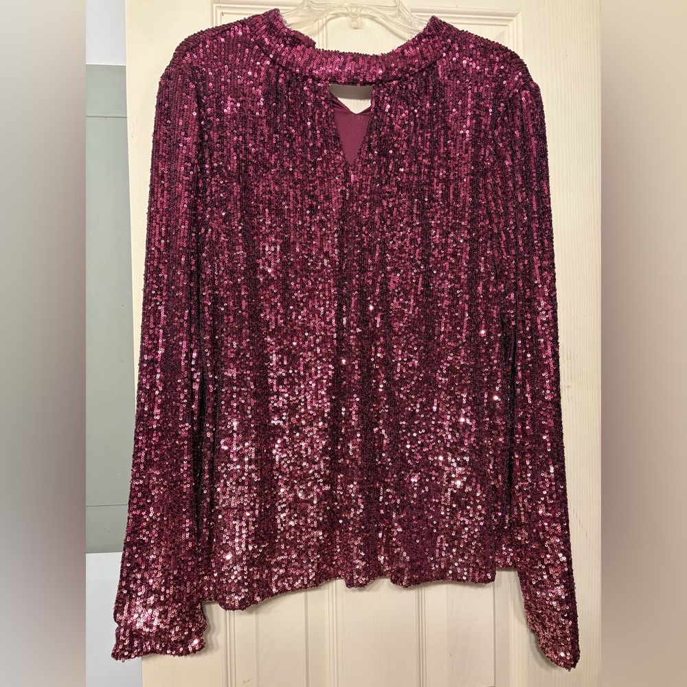 The Limited Pink Sequin Blouse with Full Sleeves